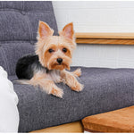 Kleine hondentrappen - Huisdierentrappen voor banken en hoge bedden, opvouwbare treden, opbergruimte voor speelgoed voor huisdieren, kattentrappen voor op bed - Hiermee hebben uw huisdieren direct en gemakkelijk toegang tot uw bank of bed