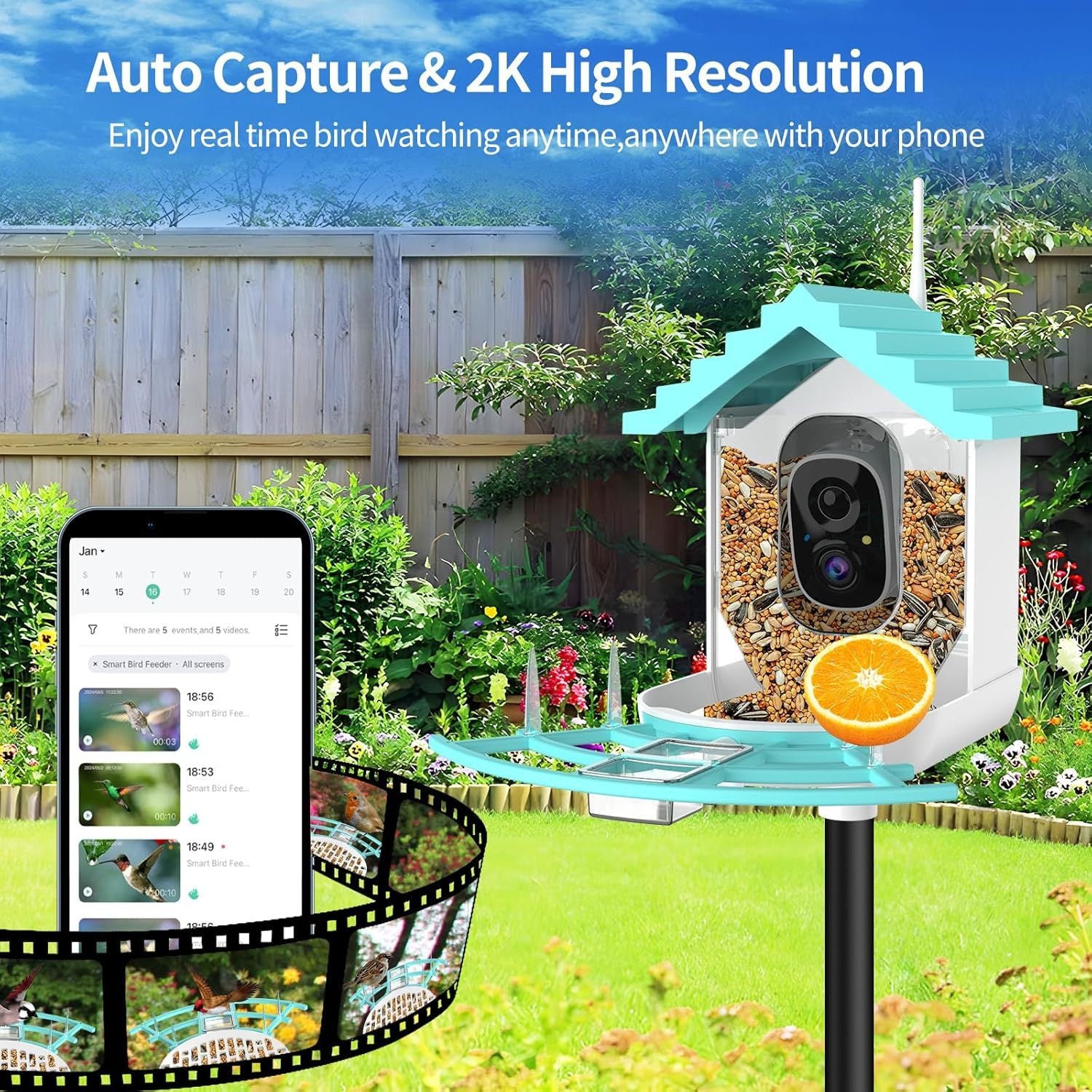 Voederhuisje met camera, AI-herkenning van vogelsoorten, slimme vogelcamera op zonne-energie, automatische opname van 2K-video's van vogels in de achtertuin, directe meldingen, ideale cadeaus voor familie en vogelliefhebbers