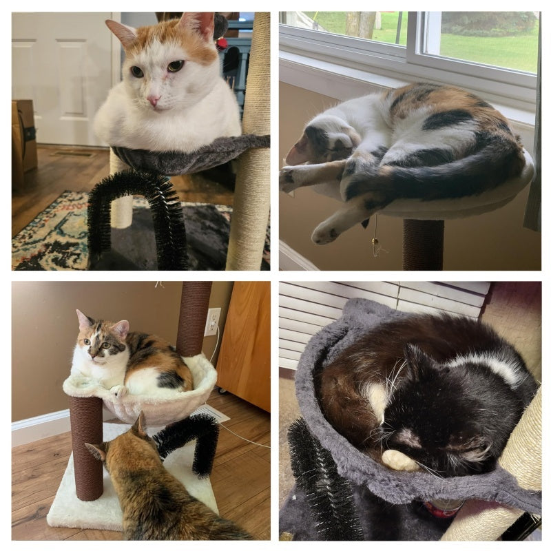 27.8 inch hoge kattentoren voor binnenkatten. Kattenmeubel met meerdere niveaus, met sisal krabpalen, pluchen zitstokken en hangende speeltjes. Grote, duurzame kattentoren, perfect cadeau voor kattenliefhebbers.