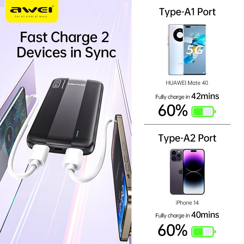 AWEI Smart Multi Output Powerbank