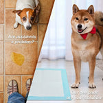 100 stuks huisdierluiers 45*60cm Superabsorberende huisdierluiers Hondentrainingsmatjes Wegwerpbare, gezonde luiermat voor katten en honden