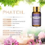PHATOIL 15-teiliges Set mit ätherischen Ölen, natürliches pflanzliches Aroma, ätherische Öle, Diffusor, Eukalyptus, Vanille, Minze, Lavendel, Rose, Teebaumöl