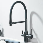 Gefilterter Küchenarmatur, Reinigungshahn mit magnetischem Sprühgerät, Küchenarmatur, gefiltertes Wasser, Reinigungsfunktion, Küchenhahn
