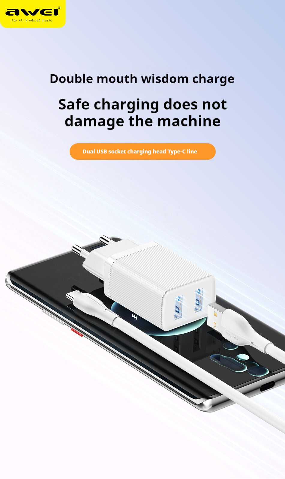 AWEI C15T Dubbele USB-Oplaadkop, Type-C-Kabelset 1M